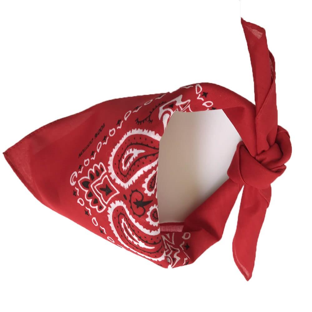 Bandana Renaud - Le style à l'état pur