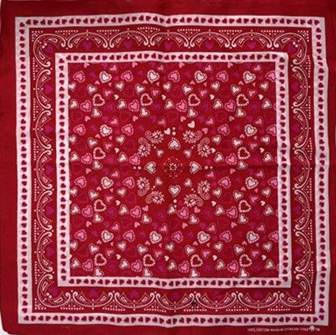 Bandana Coeur Paisley by BandBrands