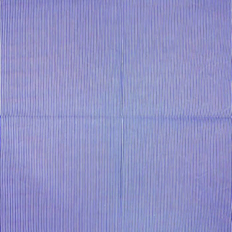 Bandana à Rayures Bleues - Édition Limitée