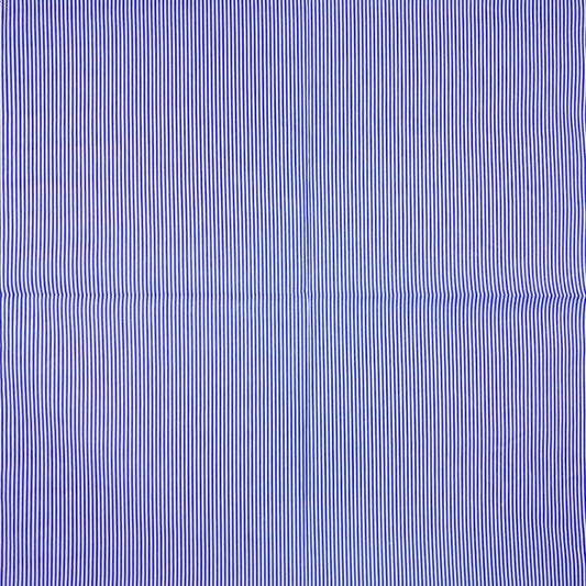 Bandana à Rayures Bleues - Édition Limitée