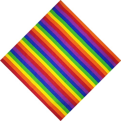 Arc-en-ciel LGBT Bandana