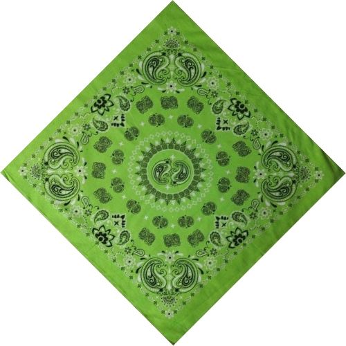 Cercle Paisley Bandana