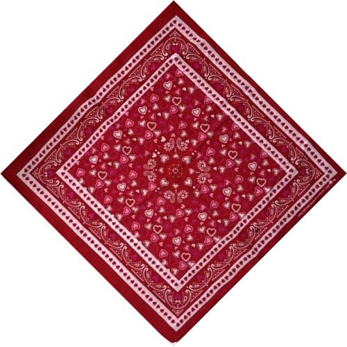 Bandana Coeur Paisley by BandBrands
