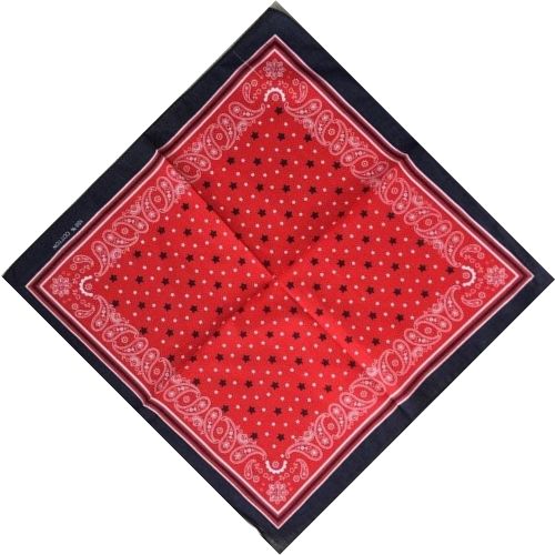 Bandana Étoile - La touche de style qu'il vous faut