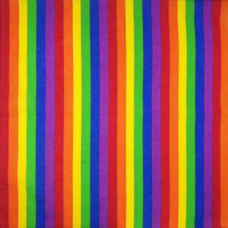 Arc-en-ciel LGBT Bandana