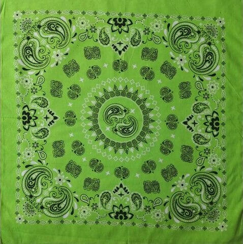 Cercle Paisley Bandana
