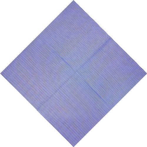 Bandana à Rayures Bleues - Édition Limitée