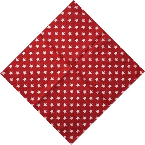 Bandana Rouge Étoilé - Toujours au Top!