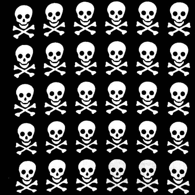 Bandana Skull Pirate Head