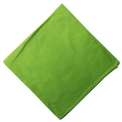 Bandana Uni en Vert Clair